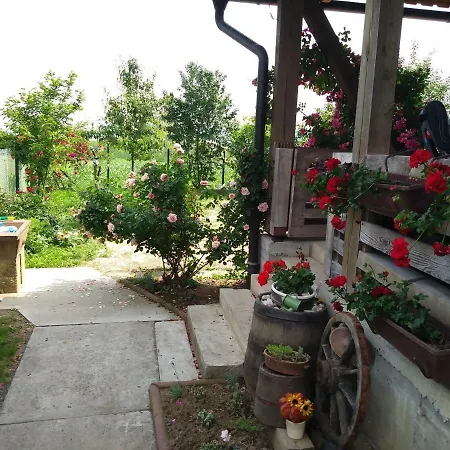Vikendica Jezero Modrac Lukavac (Tuzla)